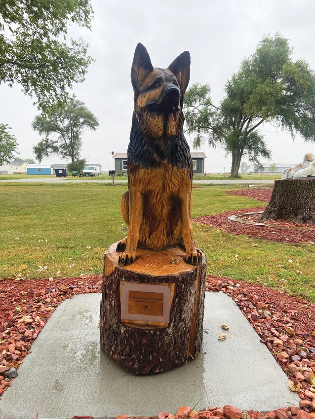 Willow valley 2024 german shepherds